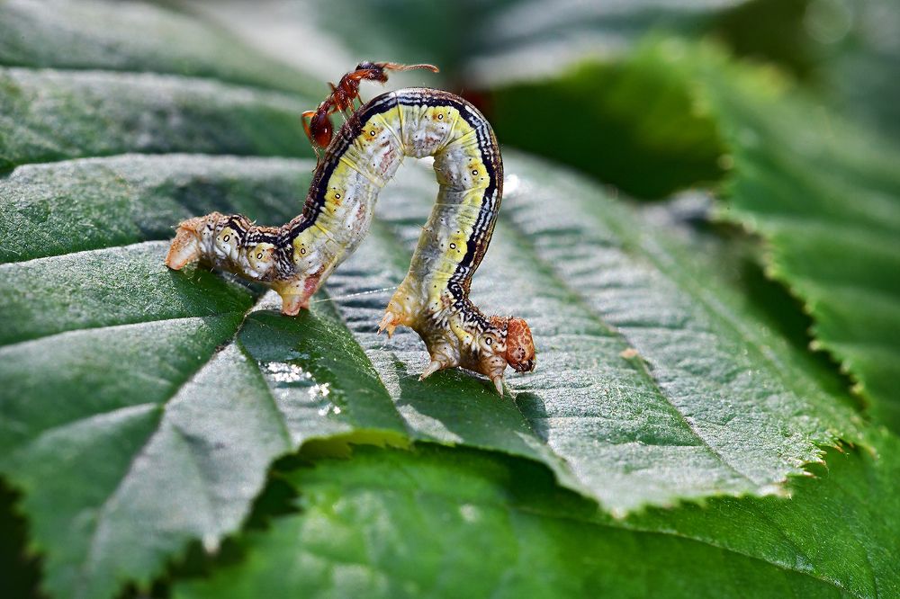 Photograph by Борис Булгаков