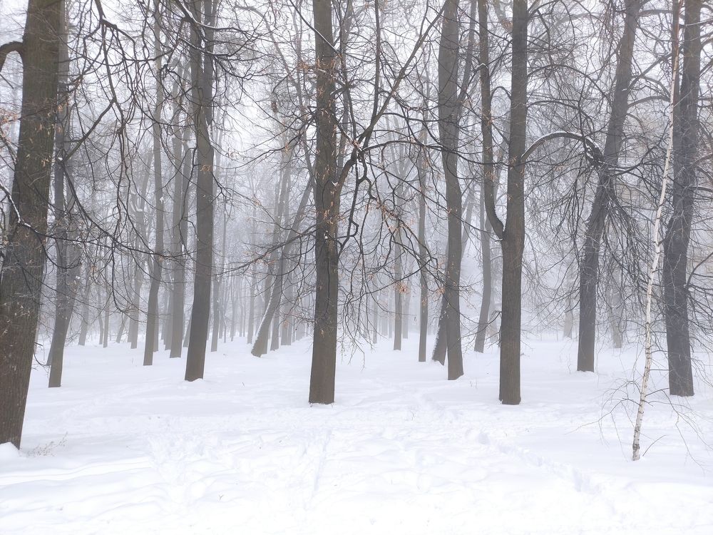 Photograph by Алексей