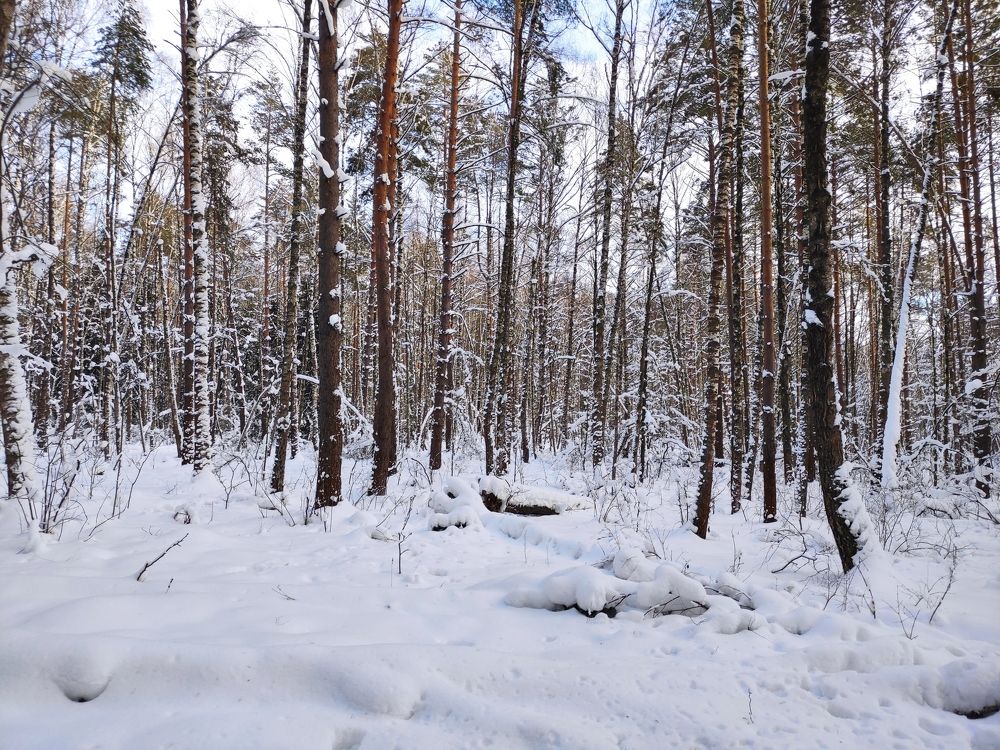 Photograph by Алексей