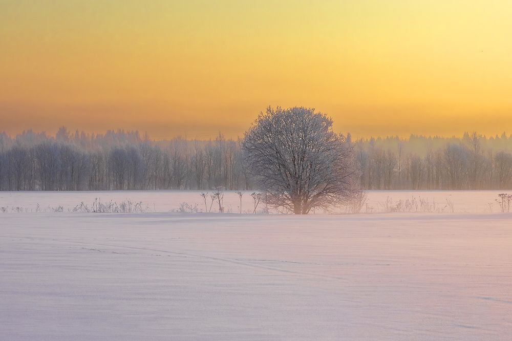 Photograph by Игнатьев Александр
