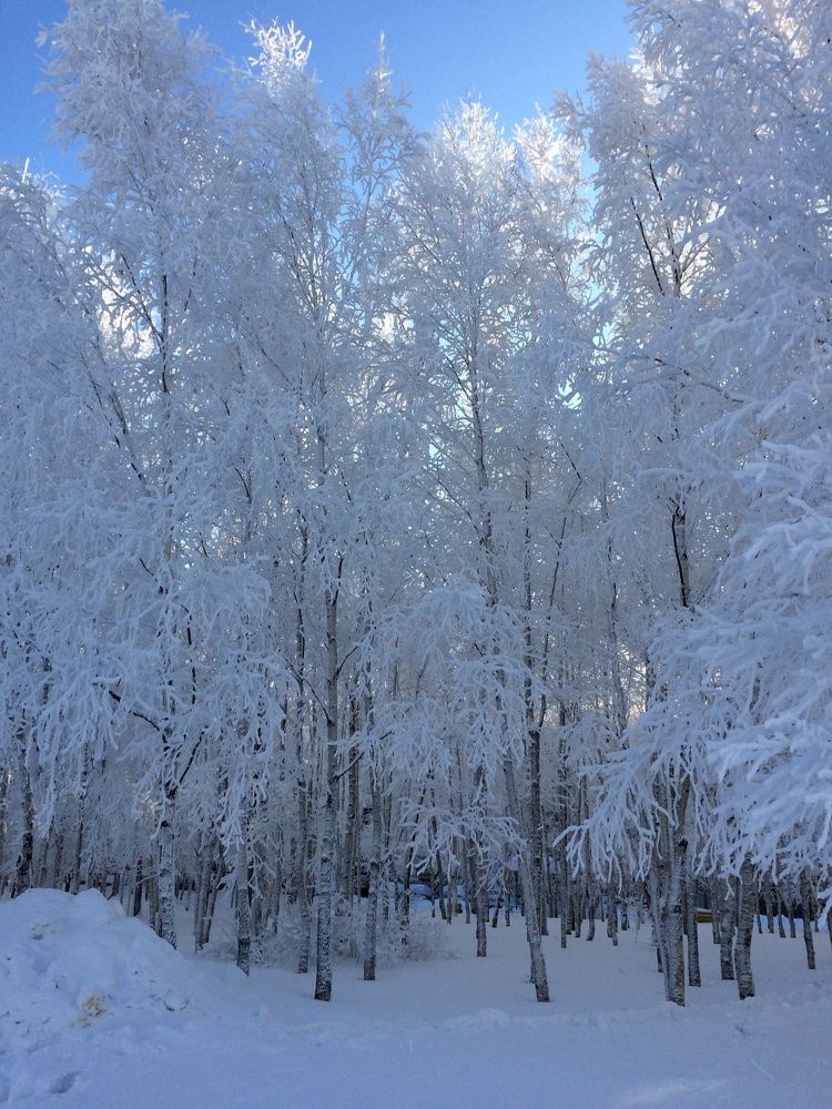 Фотография автора Ольга