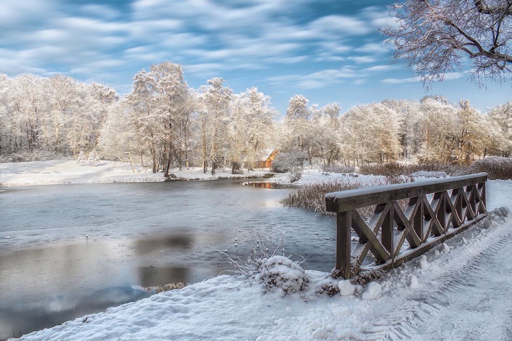 Photograph by Ewa Lamond