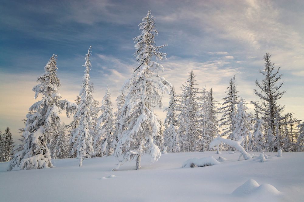 Photograph by Дмитрий Цыпляев