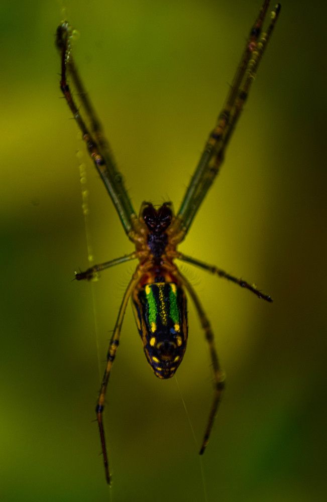 Photograph by Amartya Kumar