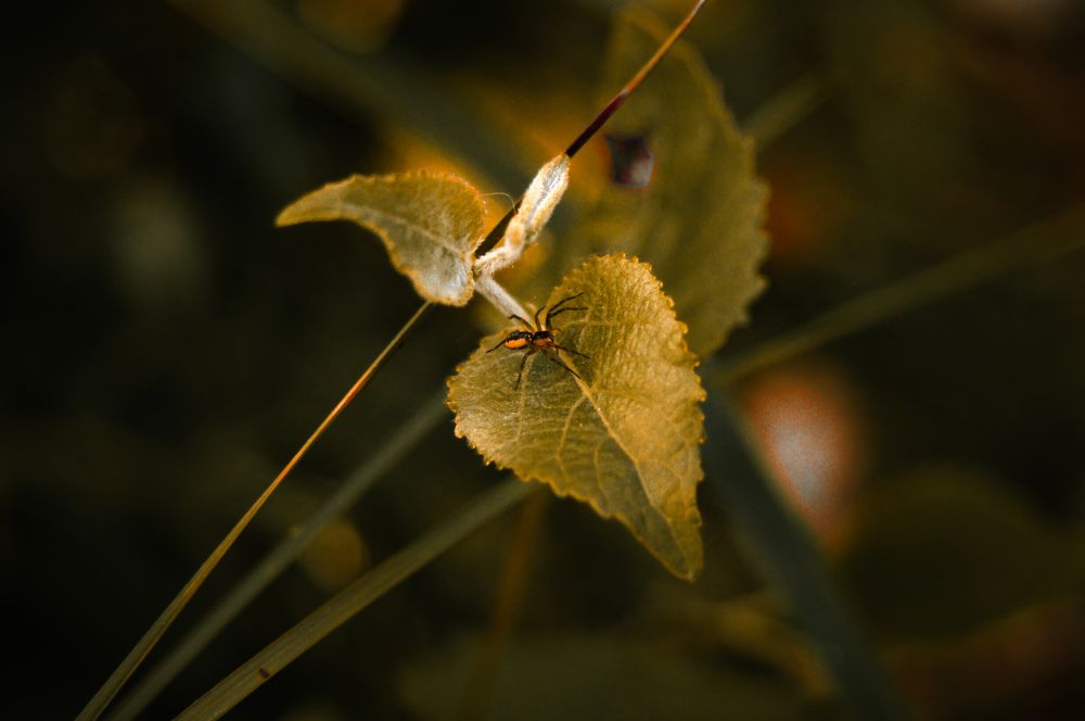 Photograph by Дмитрий Малышев