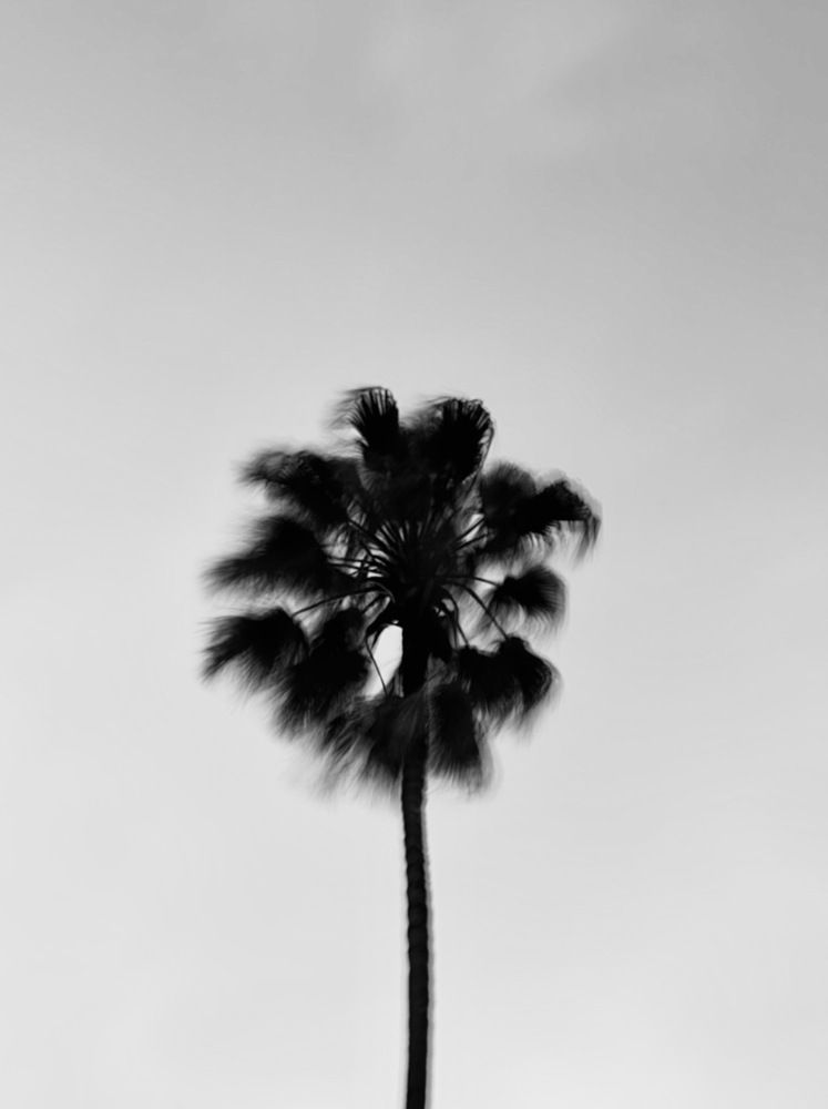 Photograph by Liliana