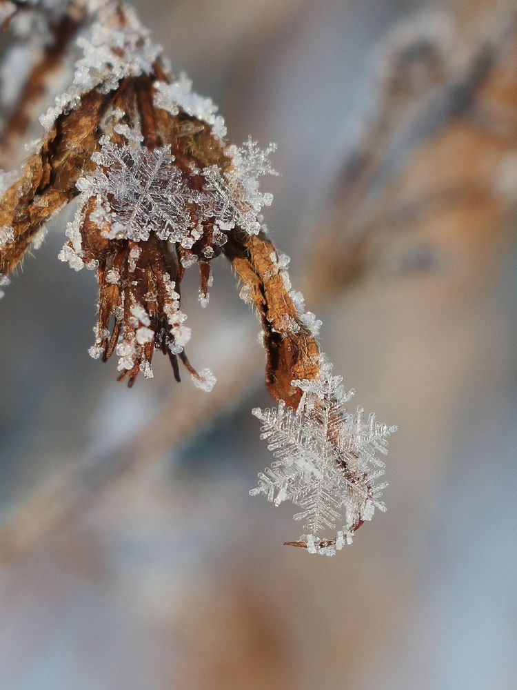 Photograph by Светлана Богомолова