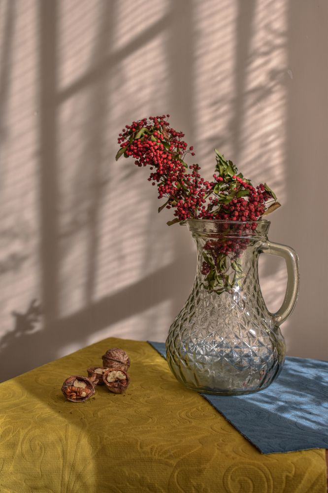 Photograph by Fatemeh Jamalian