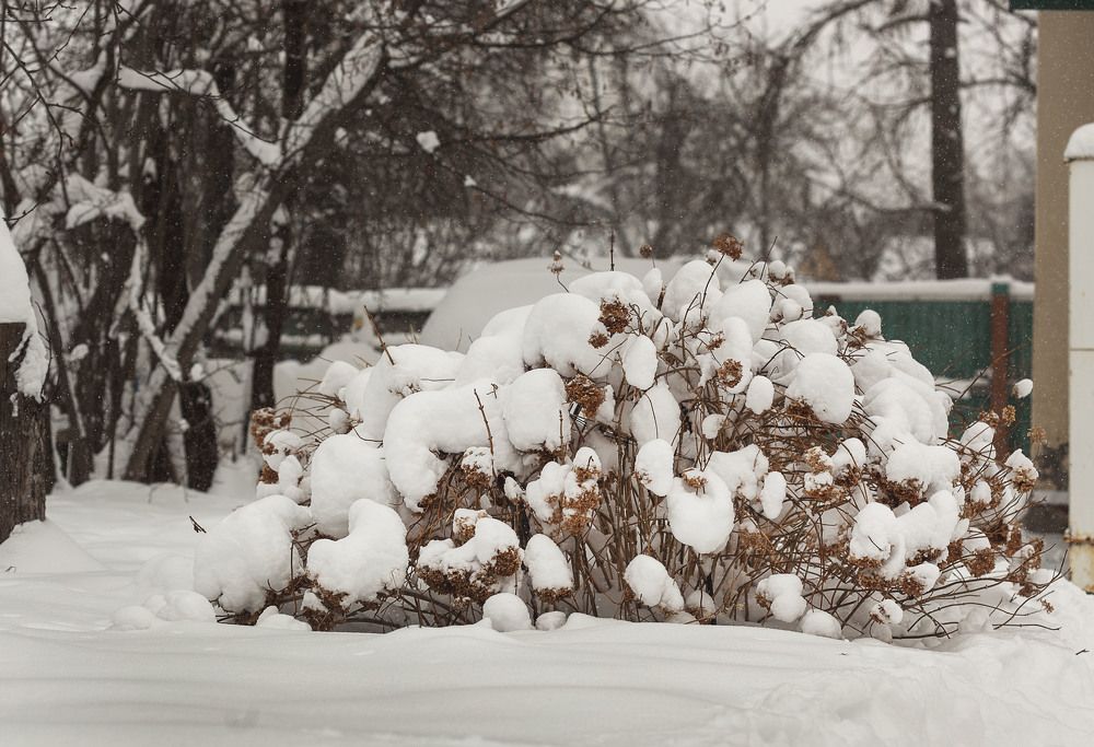 Фотография автора Alena Makushina