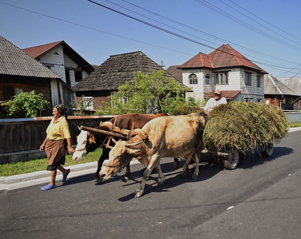 Photograph by Наталья Пирогова