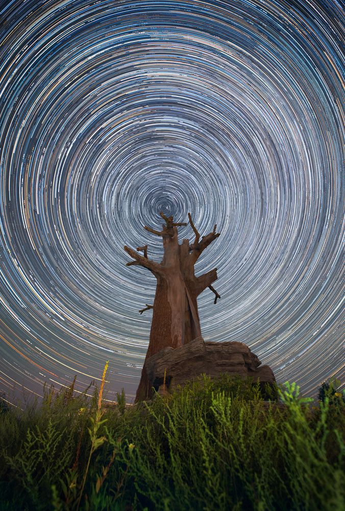 Photograph by Максим Уланов