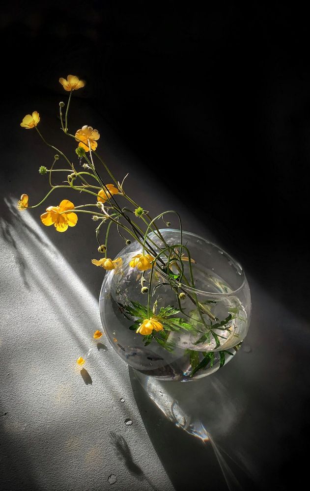 Photograph by Наталя Мартинчик