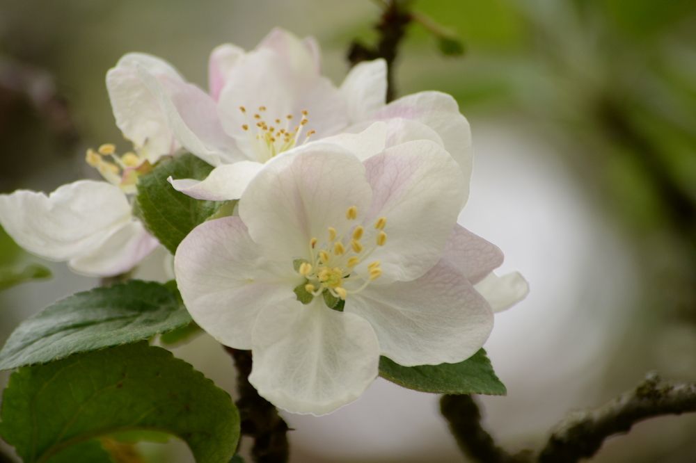 Photograph by Vera Petriv