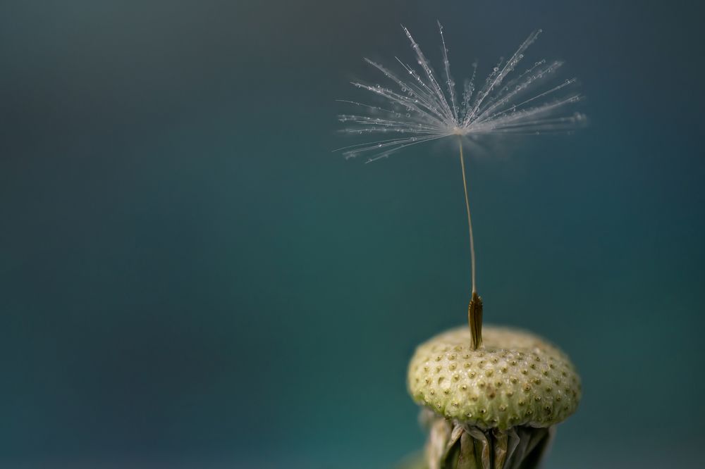 Photograph by Сергей Романченко