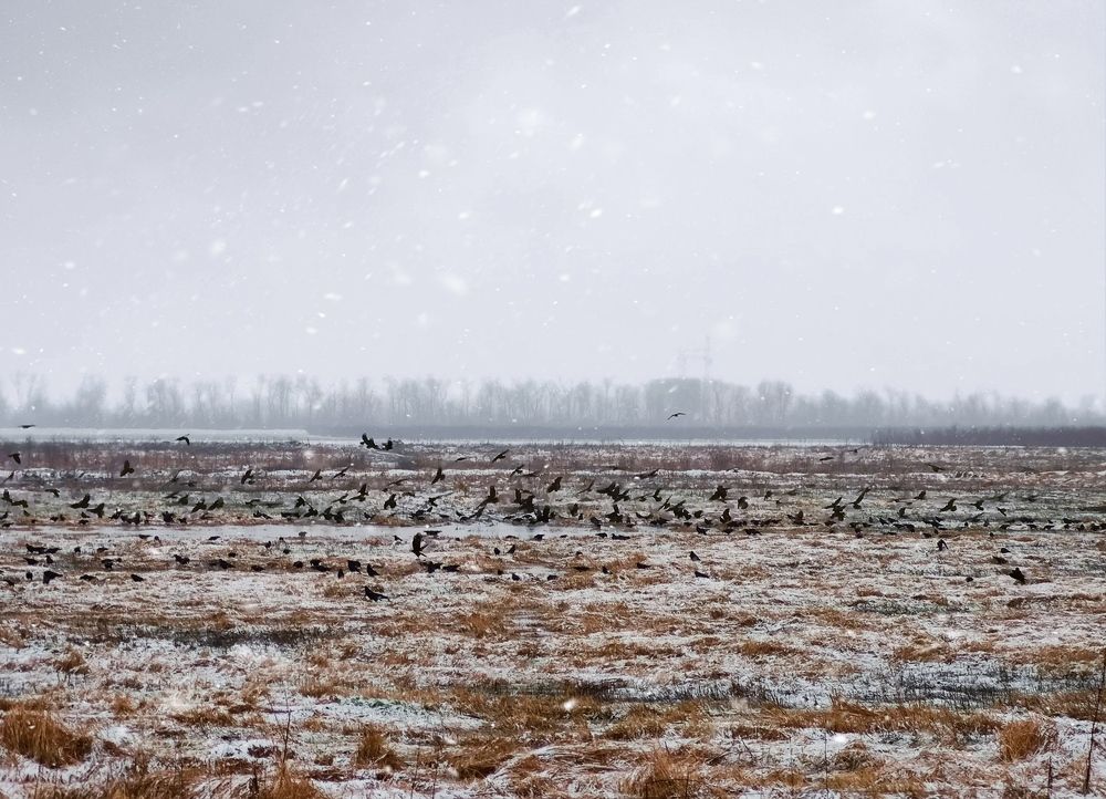 Photograph by Андрей Маргосов