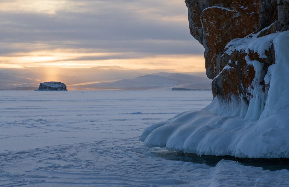 Снежная лапа