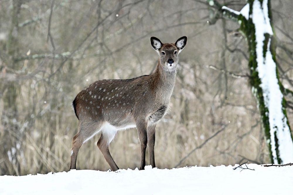 Photograph by Чернобай Анна
