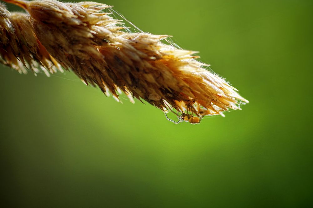 Photograph by Наталья Кащеева