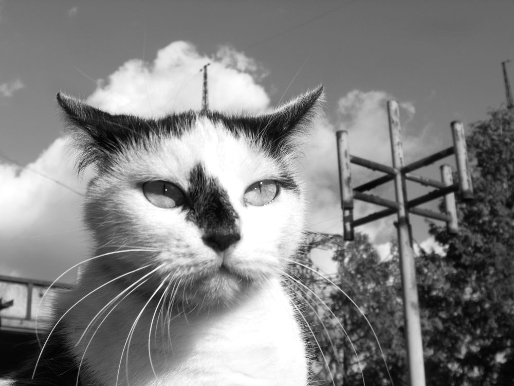 Photograph by Олена Лукашевич