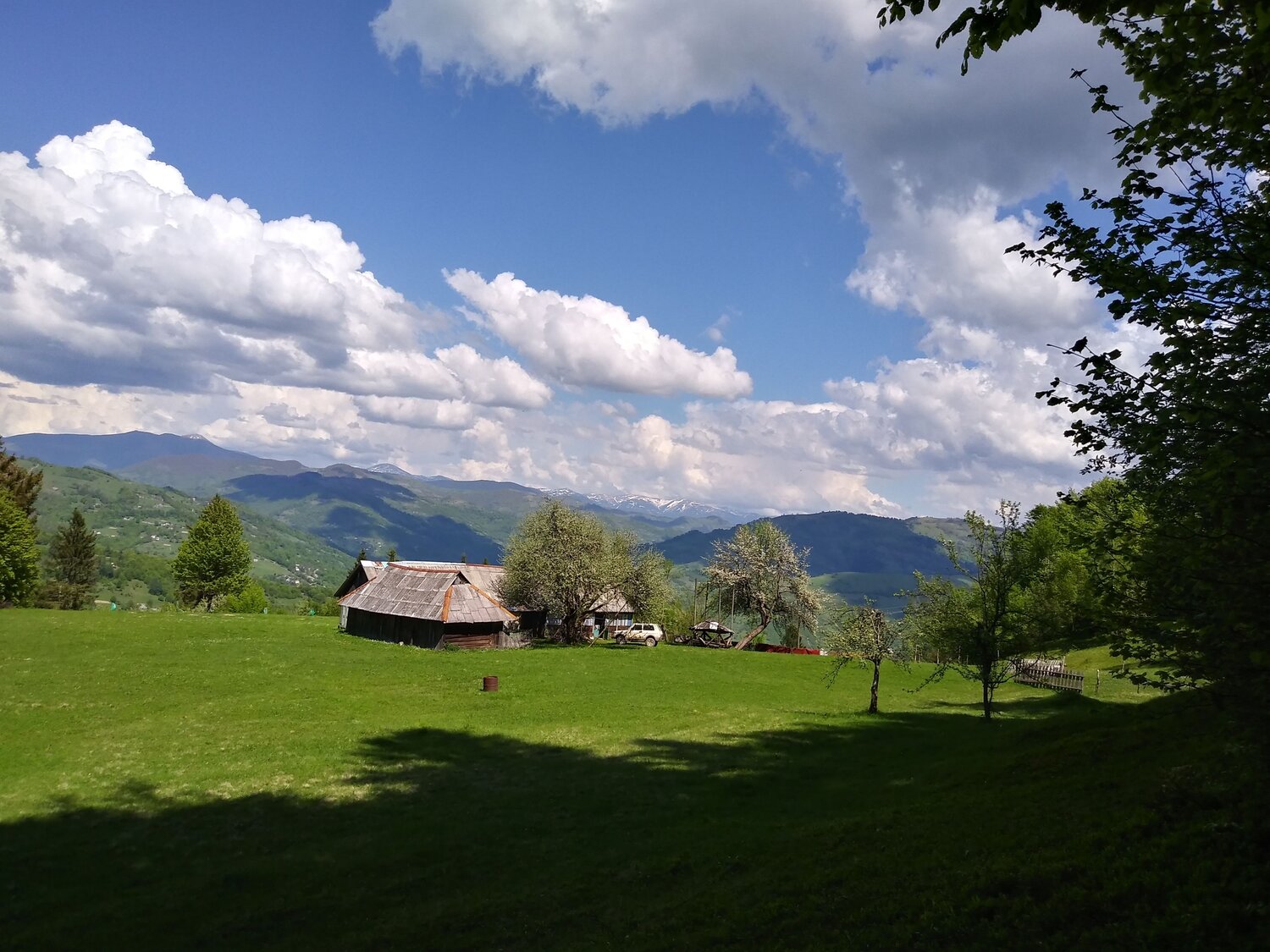 Photo #7174101