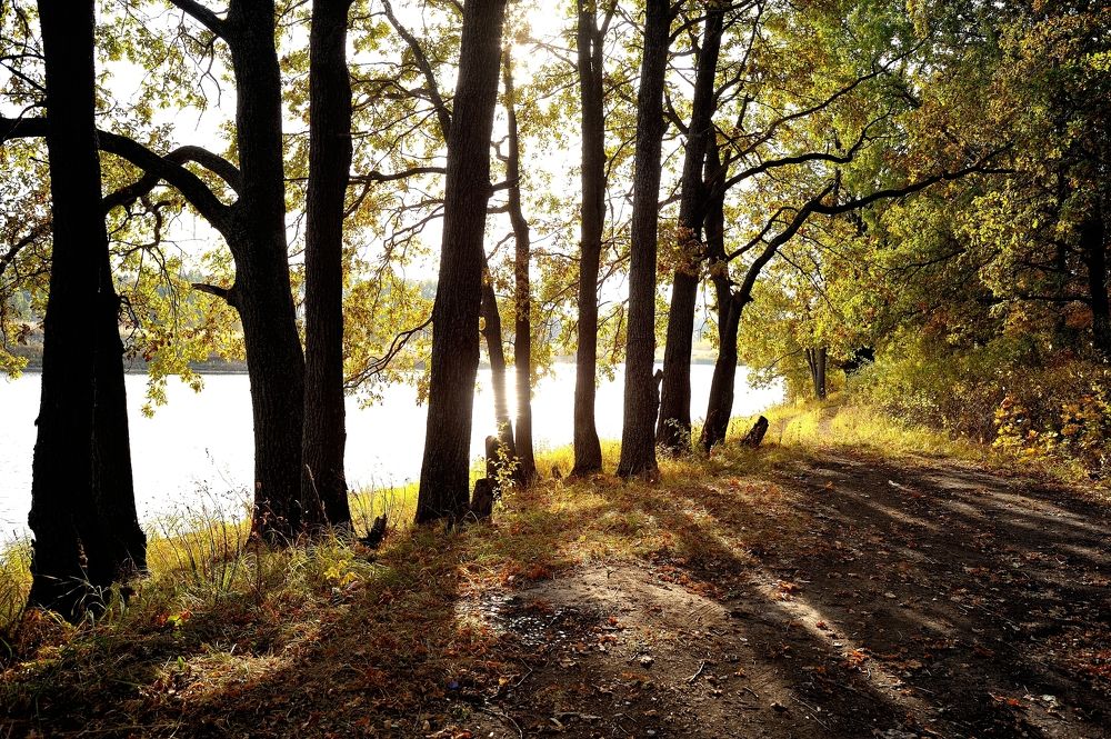 Photograph by Владимир Щеголев