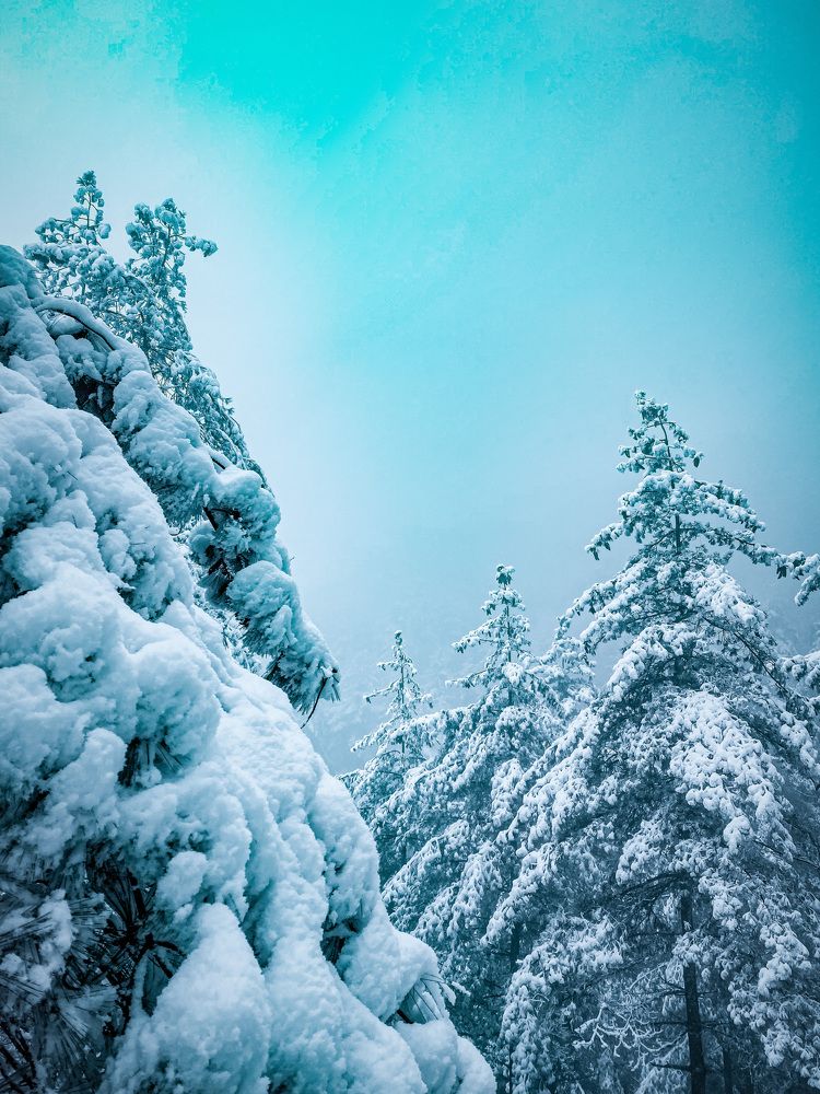 Photograph by Kinzang Tobgay