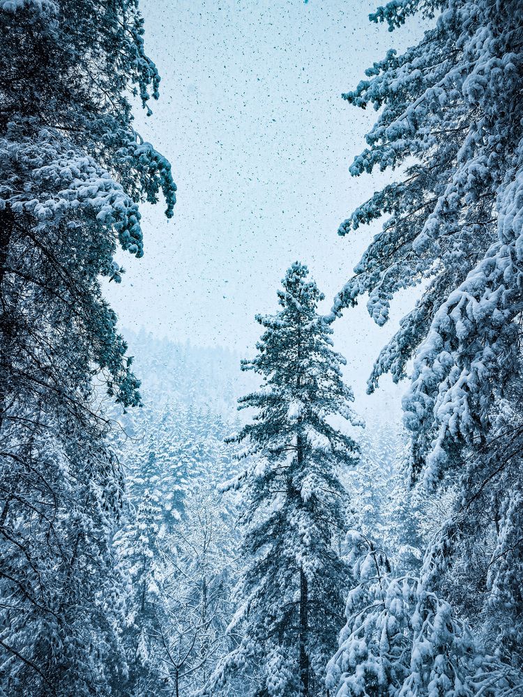 Photograph by Kinzang Tobgay