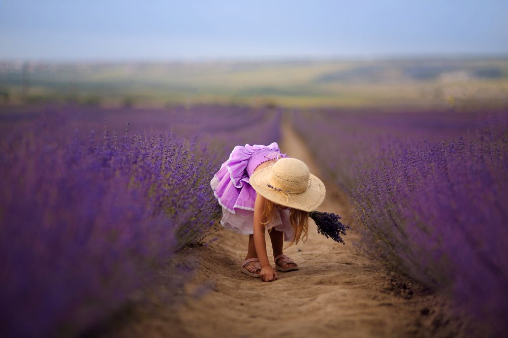 в поисках улиток