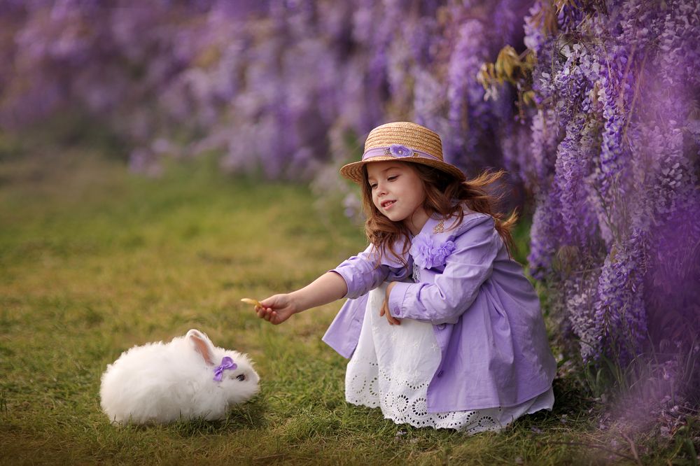 50 оттенков фиолетового