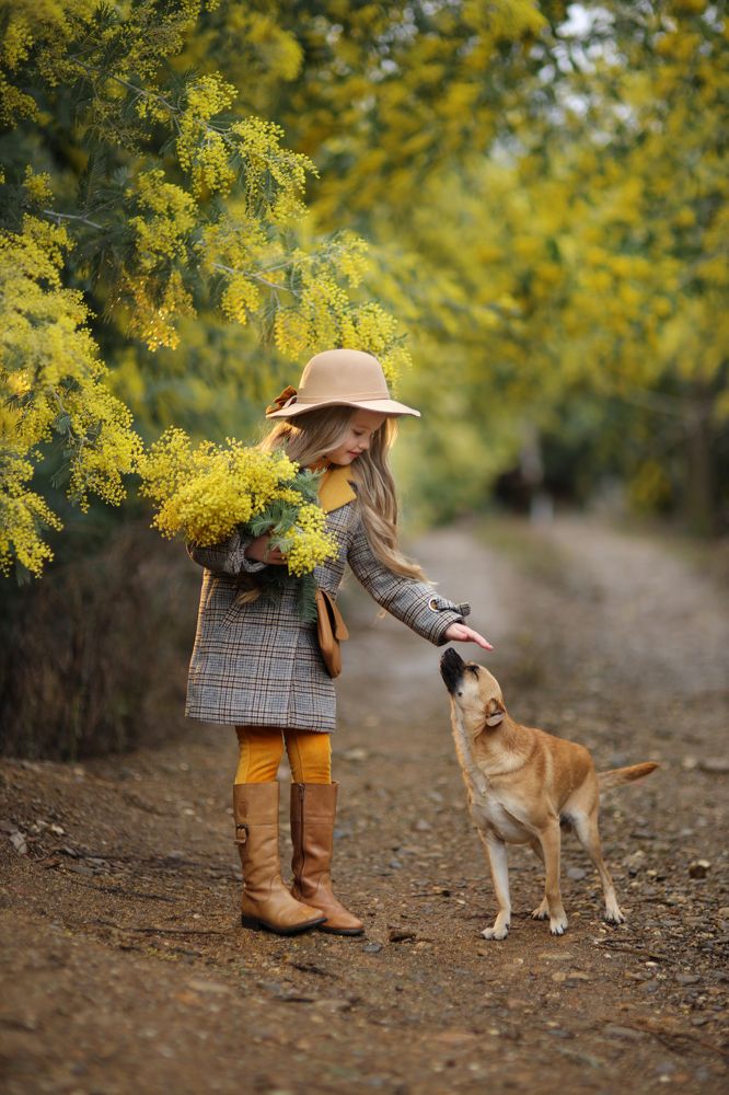 цвет настроения желтый