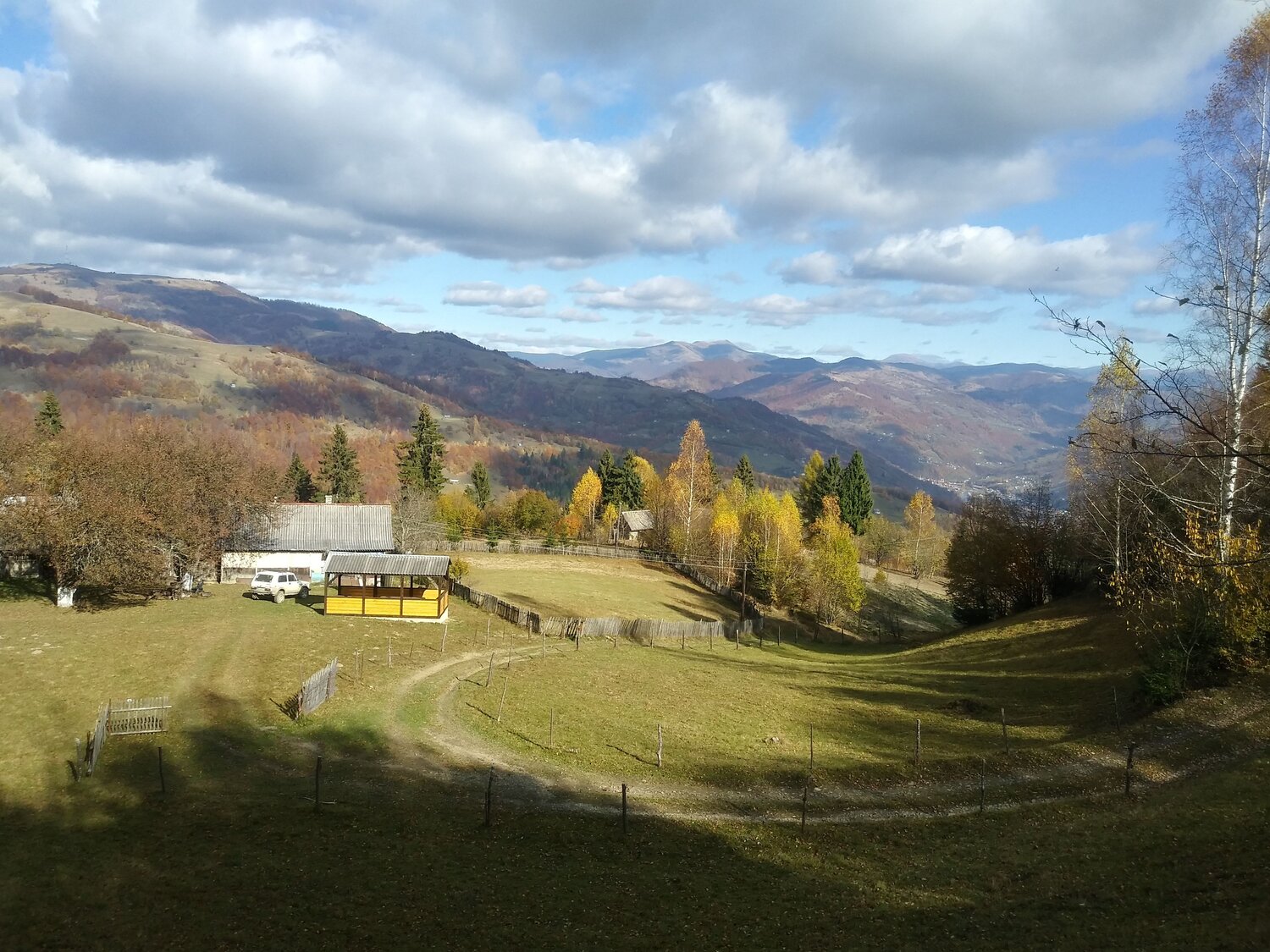 Photo #7174189