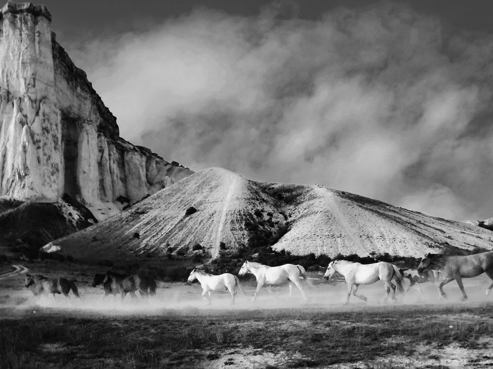 Photograph by Сергей Жигульский