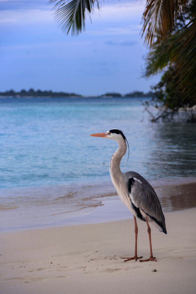 Photograph by Анастасия Суравикина