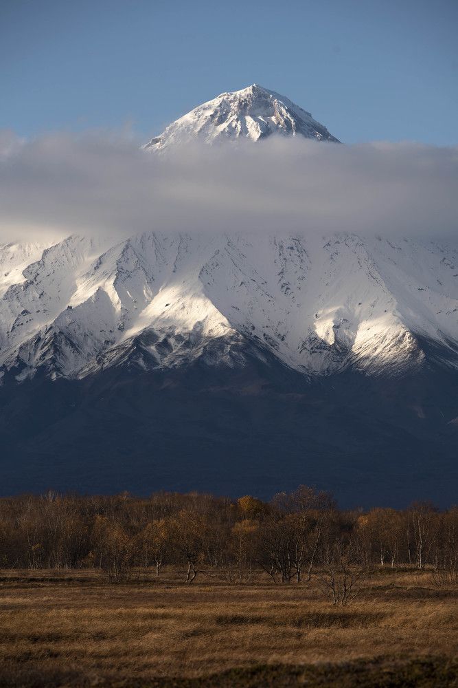 Заповедная природа