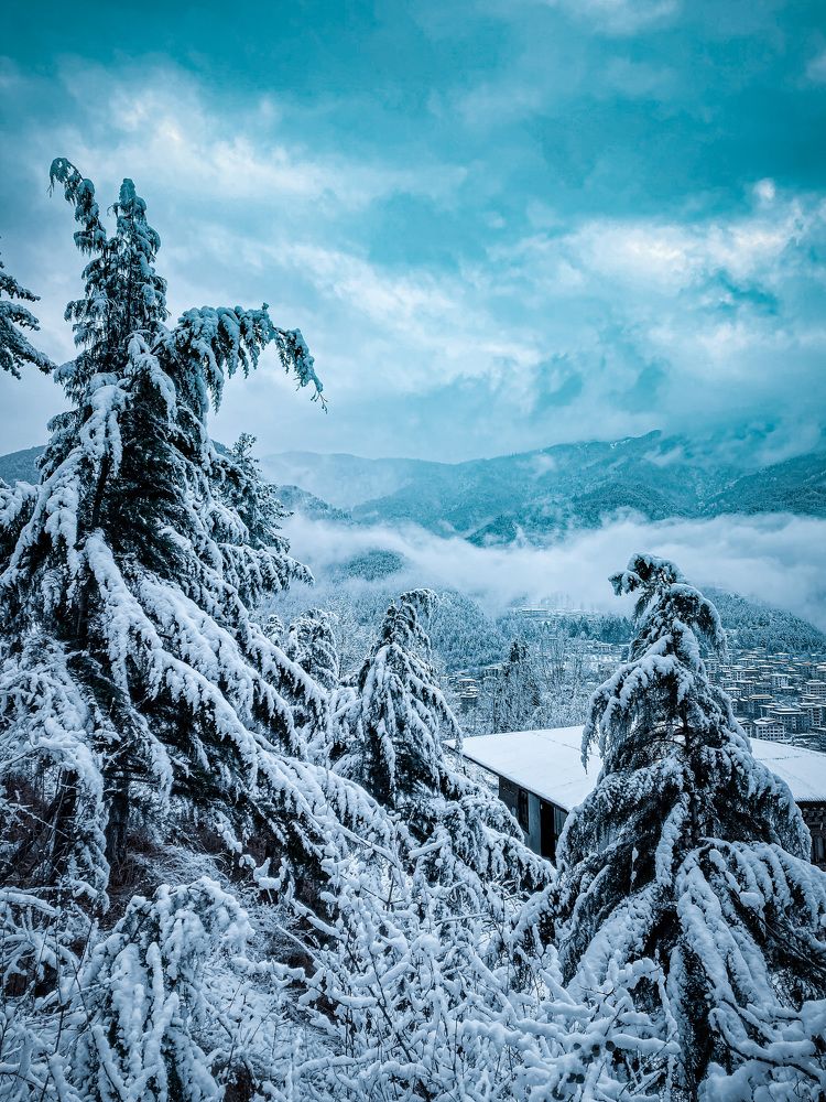 Photograph by Kinzang Tobgay