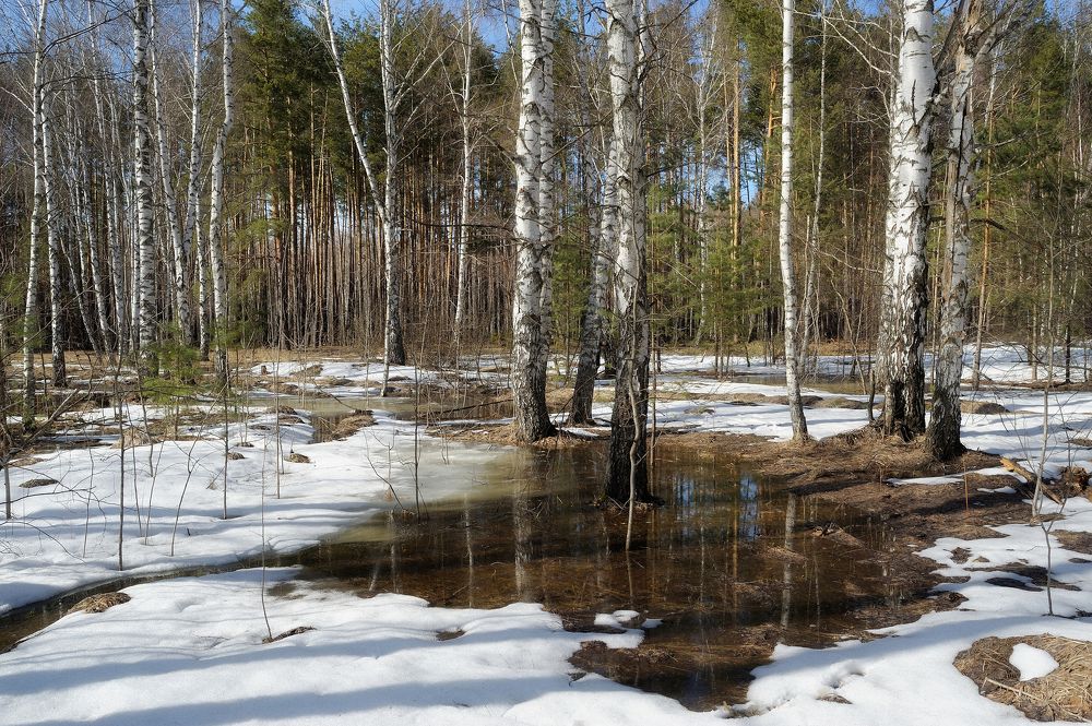 Photograph by Владимир Щеголев