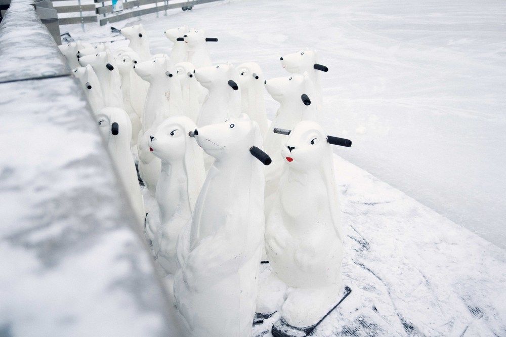 Photograph by Svetlana Grigoreva
