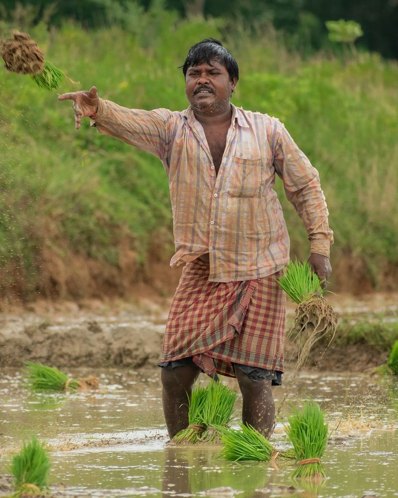 Photograph by Anirban Pan