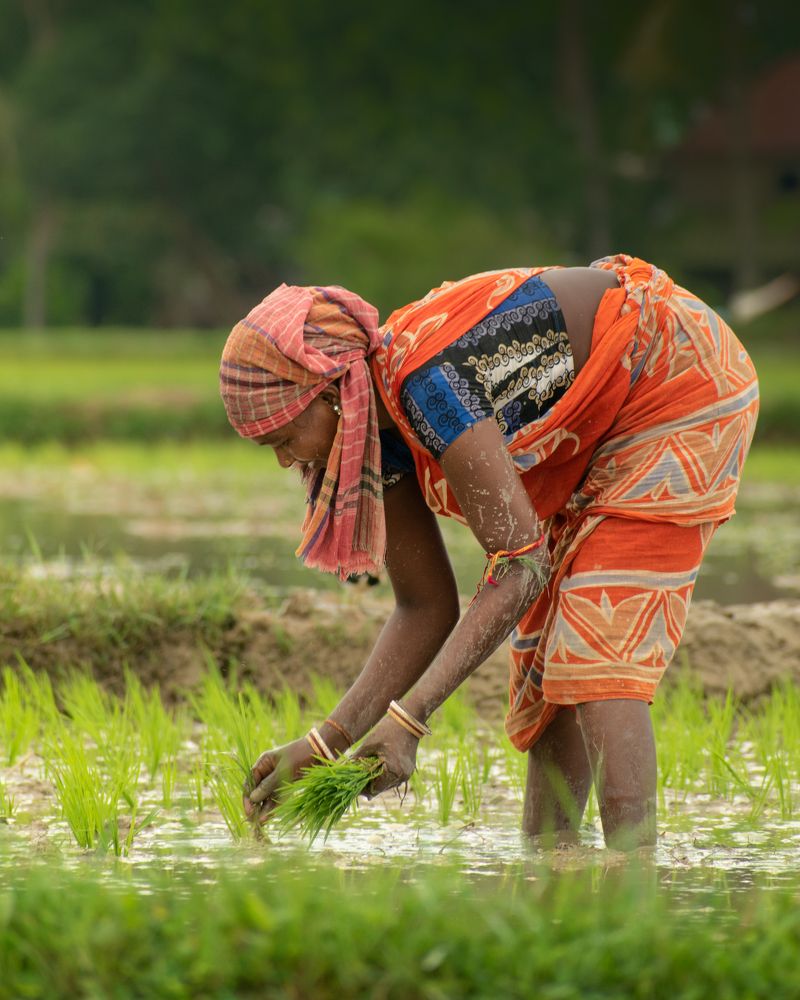 Photograph by Anirban Pan