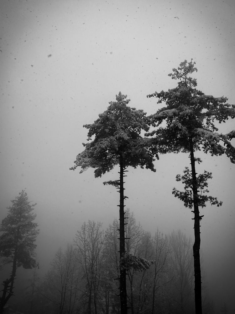 Photograph by Kinzang Tobgay