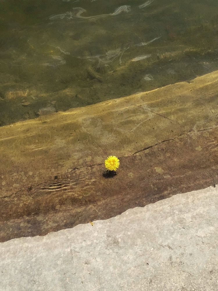 Photograph by Людмила М