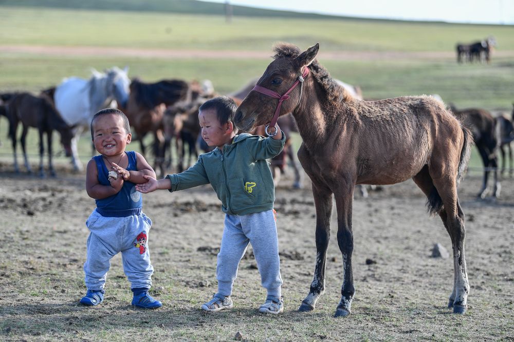 Mongolian childrens and horse