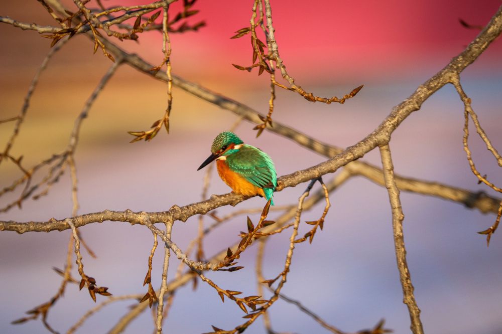 Photograph by George Alexandru Ghiuro