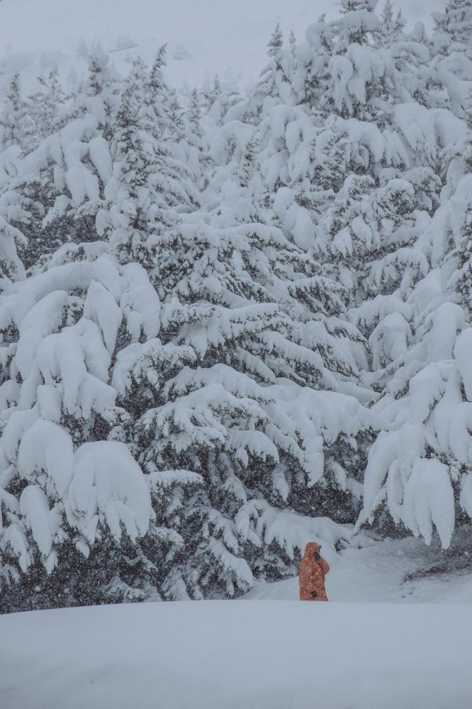 Photograph by Ehsan Fathi