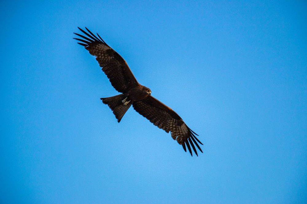 Photograph by Татьяна Ярмак