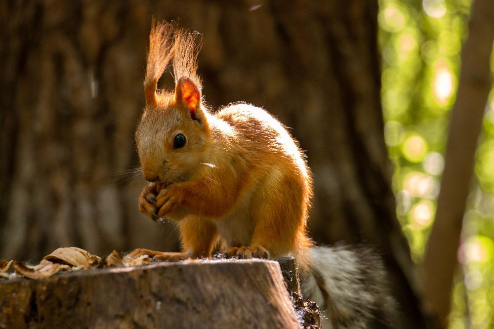 Photograph by Татьяна Ярмак