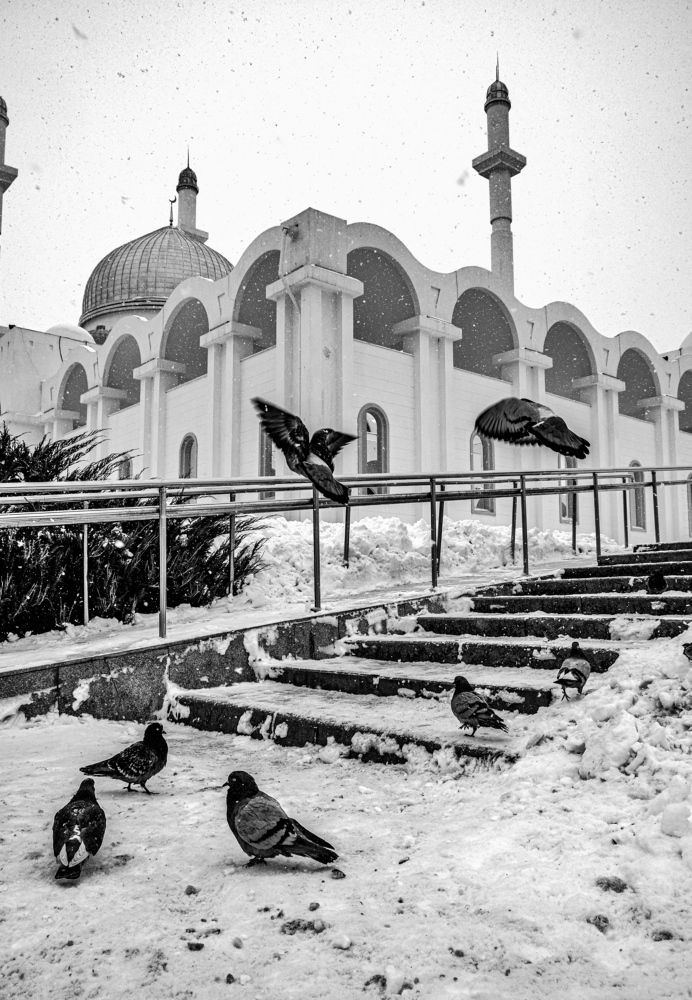 Photograph by Дана Жулдызбек