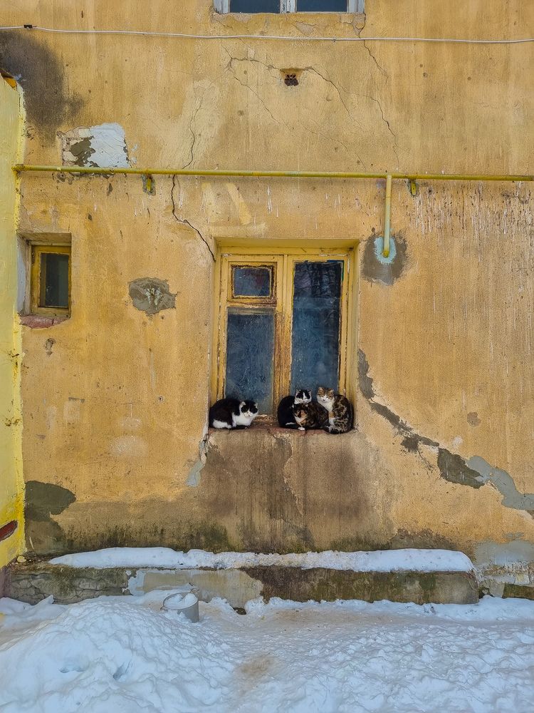 Photograph by Анна Хмелева
