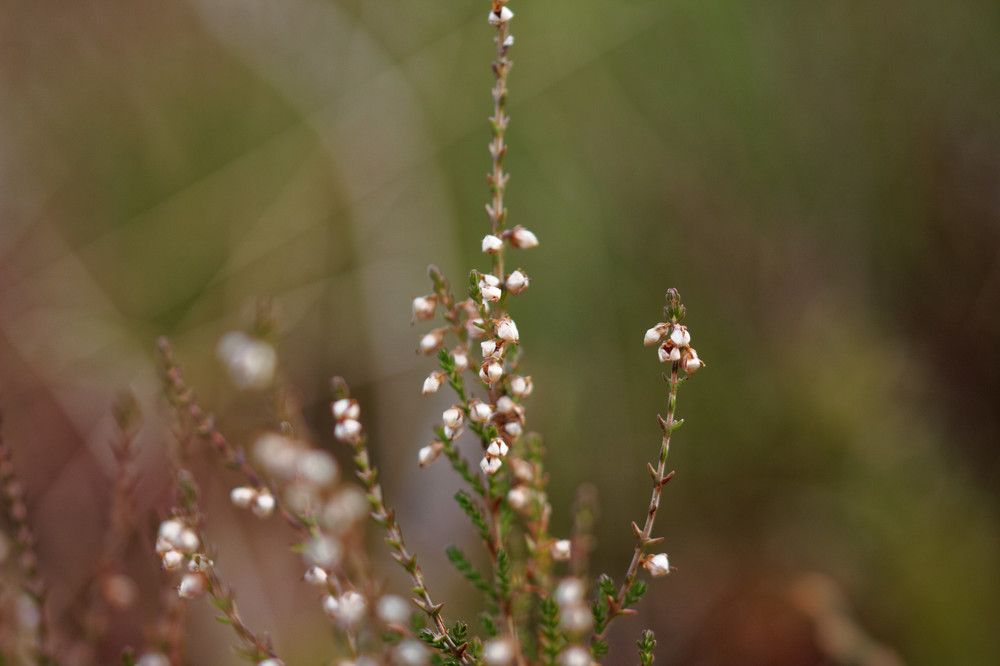 Photograph by Михаил Жарский