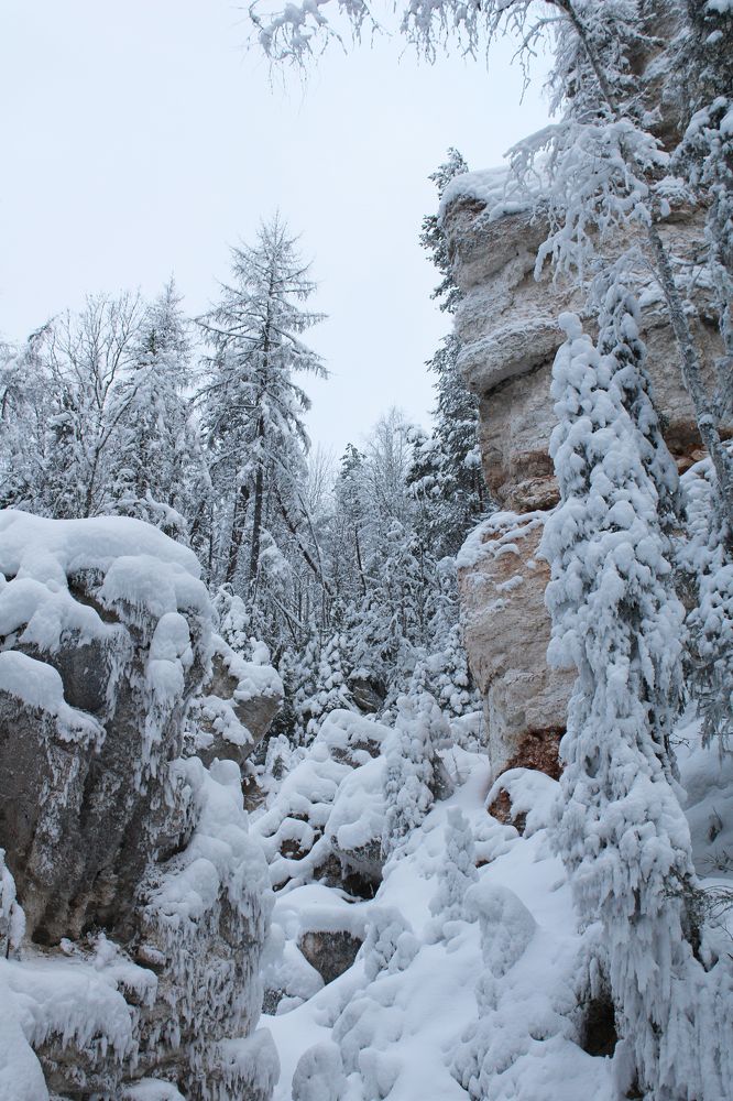 Photograph by Полина Зайцева